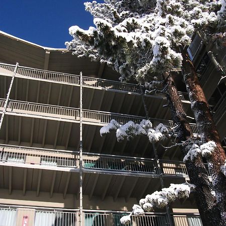 Pepper Tree Inn Tahoe City Exterior photo