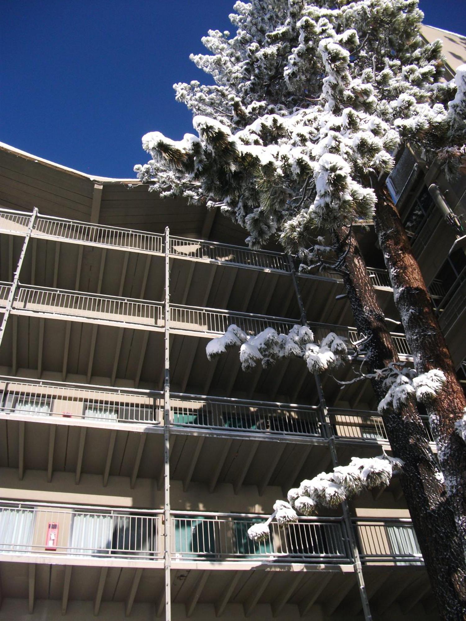 Pepper Tree Inn Tahoe City Exterior photo